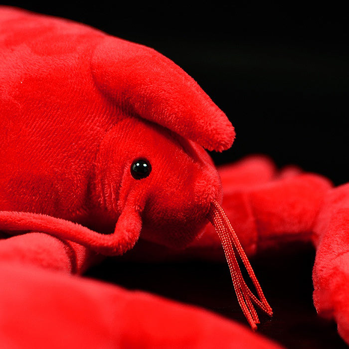 Kreeftenliefde: Een Pluche Vriend uit de Diepte van de Oceaan! 🦞💙